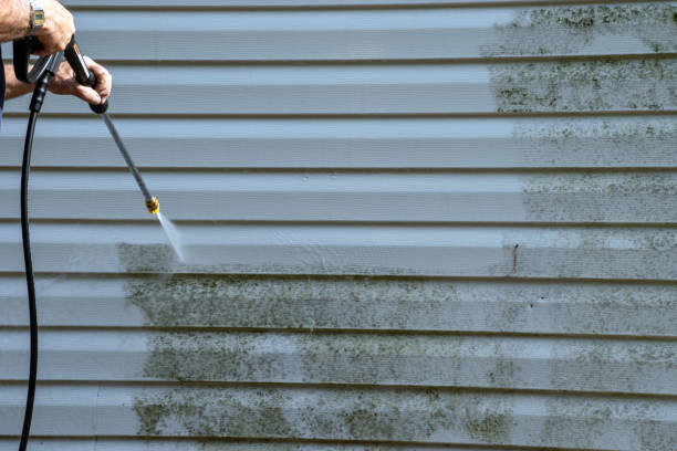 Affordable siding repair and maintenance services in Jacksonville, NC