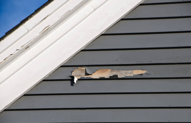 Best Wood Siding Installation  in Jacksonville, NC